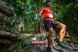 BIB: 
                            <button type="button" onclick="openModal(19387239)" class="btn btn-primary btn-sm float-right btn-popup" data-toggle="modal" data-target=".modal-high-quality">
                        <i class="fas fa-shopping-cart"></i> Add to Cart
                    </button>
                                            <button type="button" onclick="isThisMe(19387239, true)" class="btn btn-success btn-sm float-right btn-popup btn-isme hidden" data-toggle="tooltip" data-placement="bottom" title="นี่คือรูปของคุณใช่ไหม คลิกที่นี่เพื่อเอาเข้าอัลบั้ม">
                        <i class="fas fa-plus"></i> Add to album
                    </button>
                    <button type="button" onclick="isThisMe(19387239, false)" class="btn btn-warning btn-sm float-right btn-popup btn-isnotme hidden">
                        <i class="fas fa-ban"></i> Remove from album
                    </button>